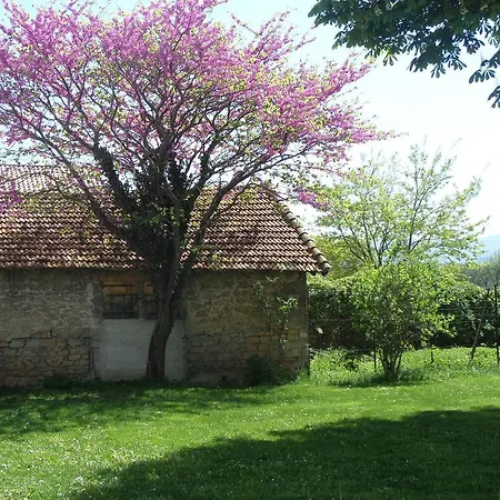 D'hotes La Petieuve Bed and breakfast *