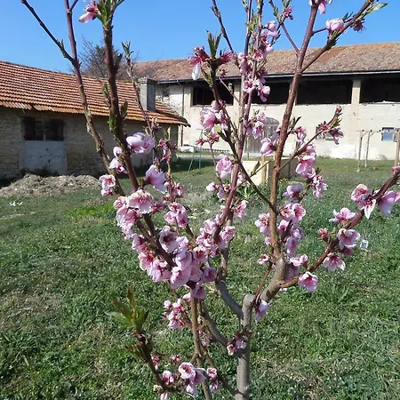 D'hotes La Petieuve